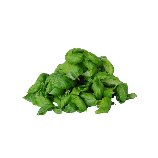 Genovese Basil (per 100g)