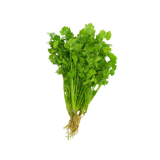 Coriander - Cilantro (Wansoy) (per 100g)