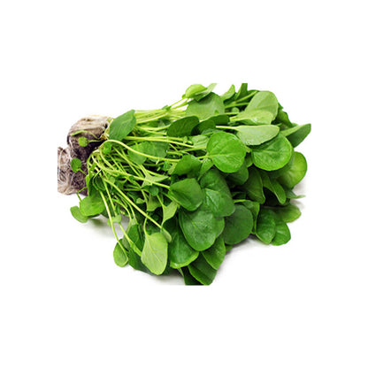 American Water Cress