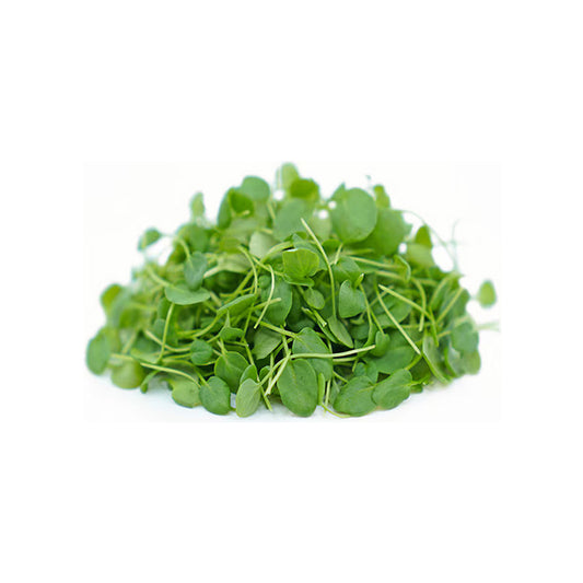 American Water Cress