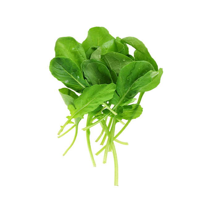 Roquette Arugula (Indoor)