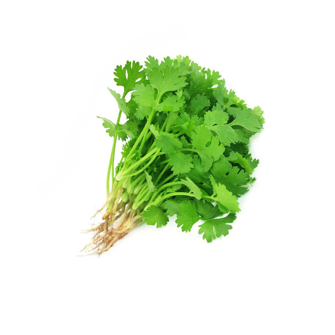 Coriander - Cilantro (Wansoy) (per 100g)