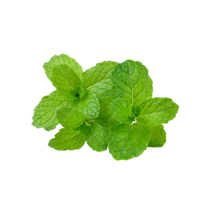 Peppermint (per kg)