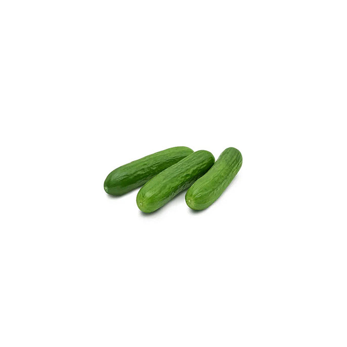 Mini Cucumber