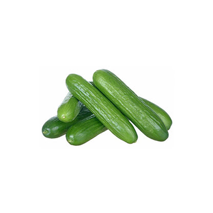 Mini Cucumber