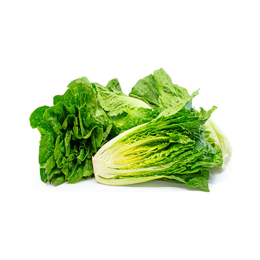 Romaine Lettuce